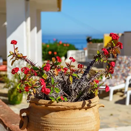 Villa Modern Eleganceprivate Pool *